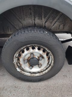 Ford Transit Kasten 2,0 TDCi L2H2 290 Startup